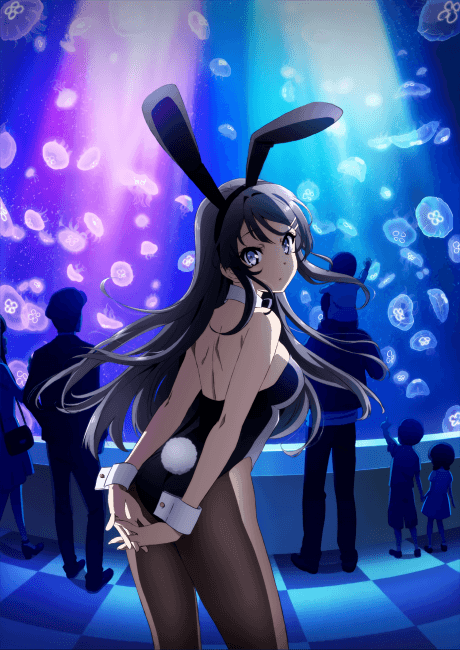 Rascal Does Not Dream of Bunny Girl Senpai